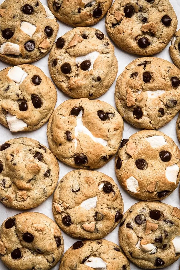 50 Fabulous Cookie Recipes Without Eggs 51 Cookies without eggs no eggless