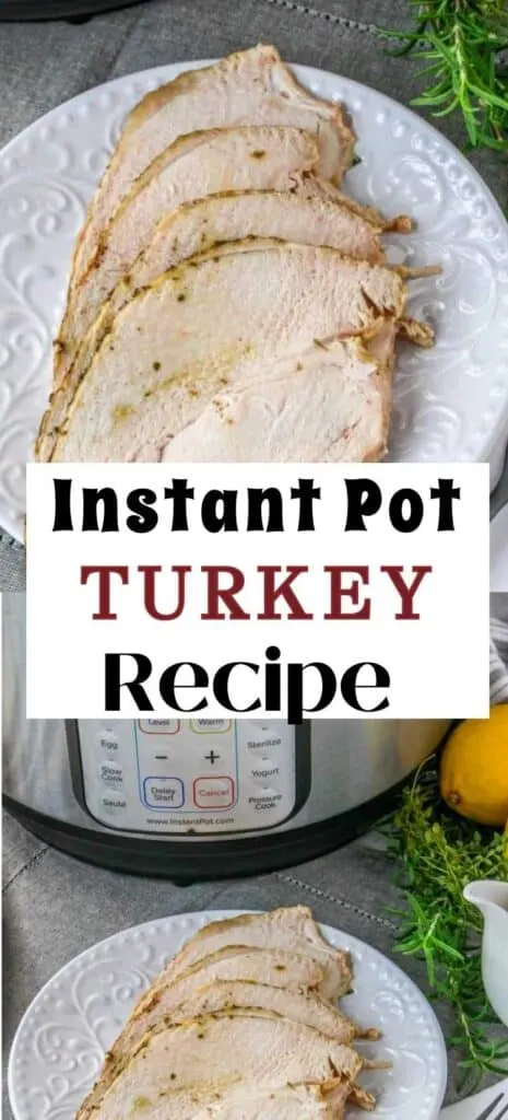Instant Pot Turkey Pin