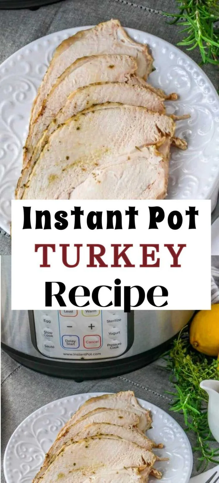 Instant Pot Turkey Pin
