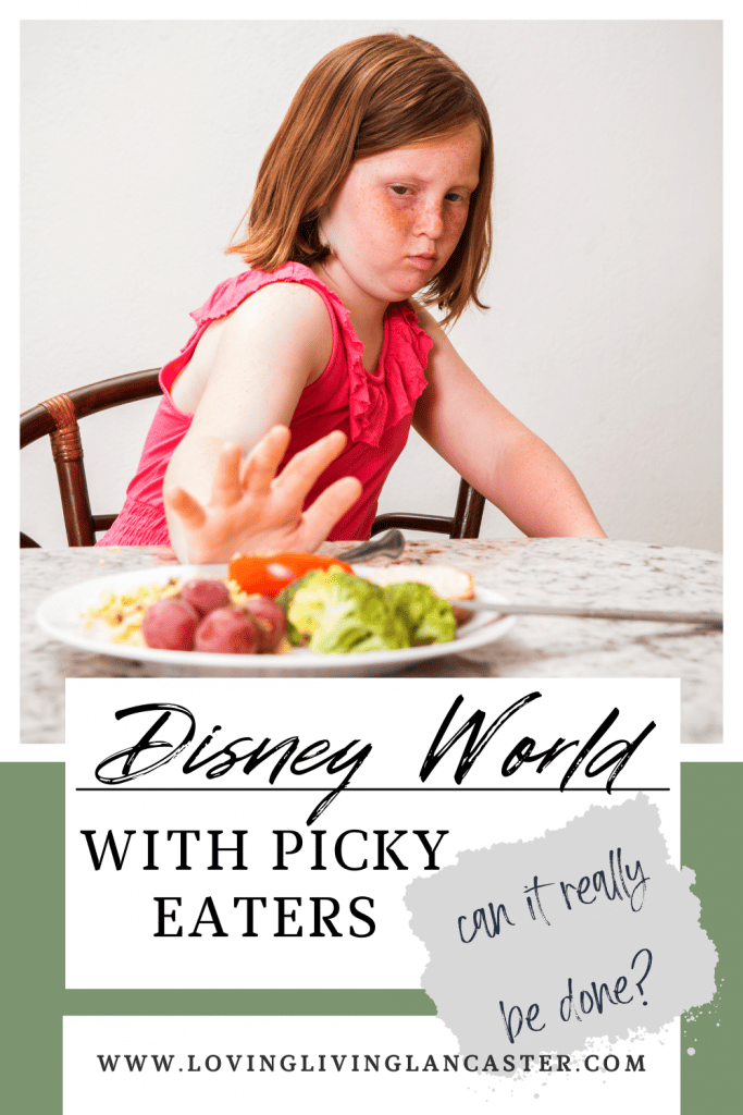 disney picky eater pin