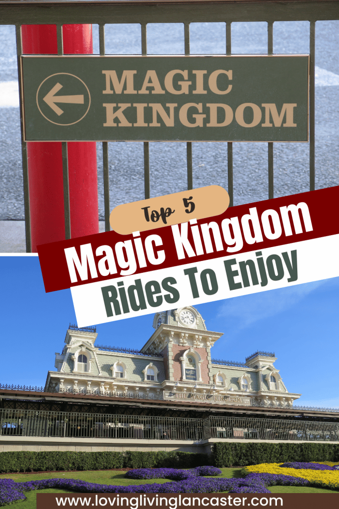 magic kingdom sign and castle in graphic