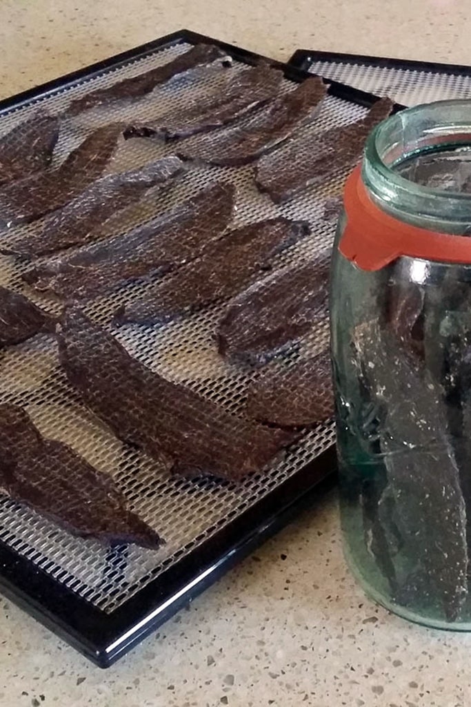 25 Venison Recipes You Will Love 23 deer meat venison jerky