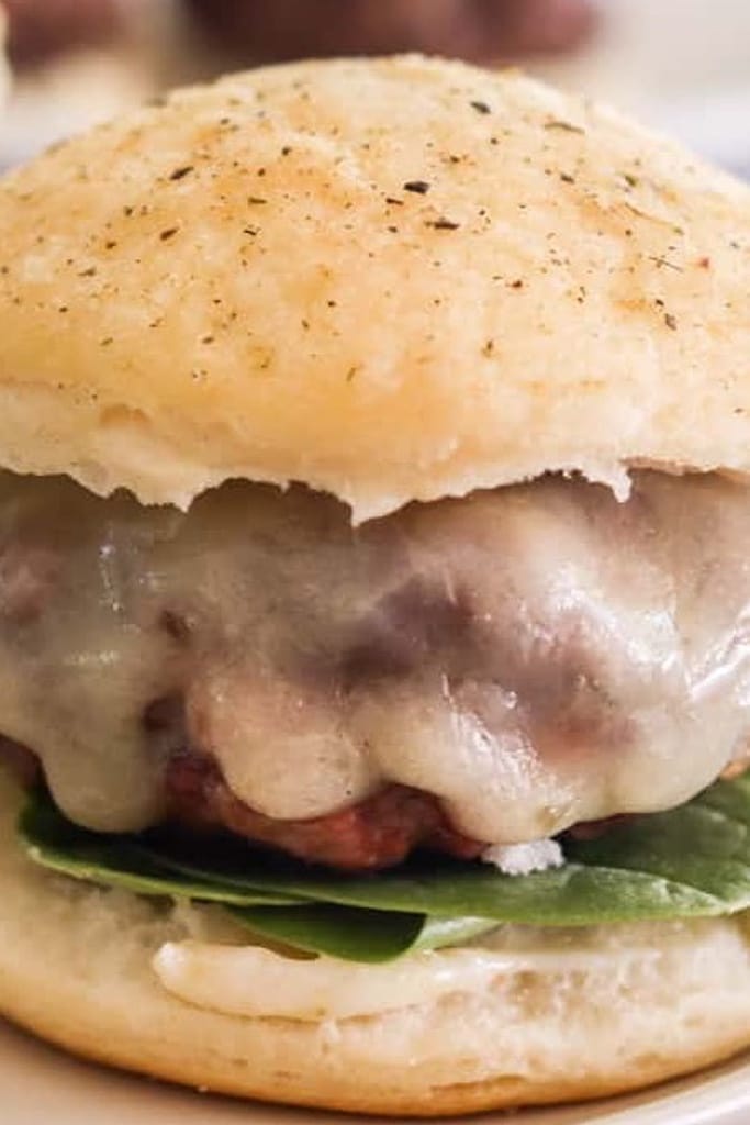 25 Venison Recipes You Will Love 26 close up of deer meat venison sliders