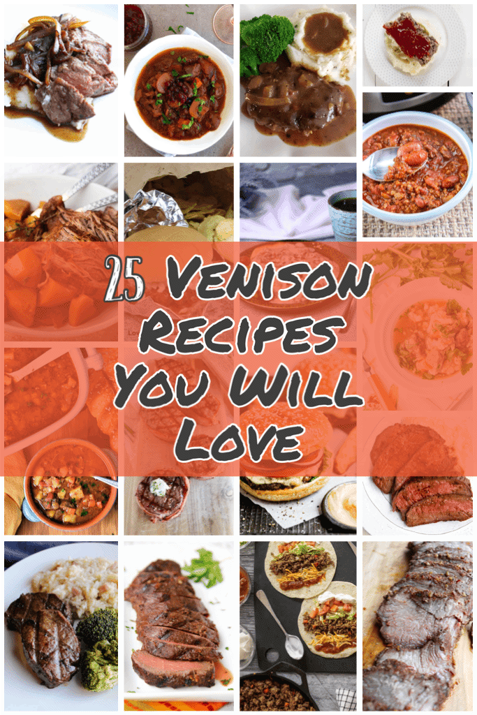 deer meat venison recipes