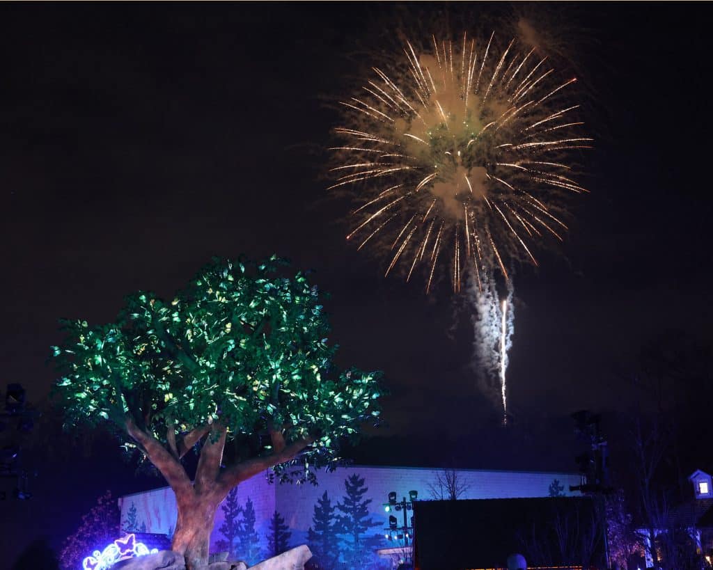 Dollywood Smoky Mountain Christmas: The Ultimate Guide 6 Merry and Bright Firework Display at night at Dollywood