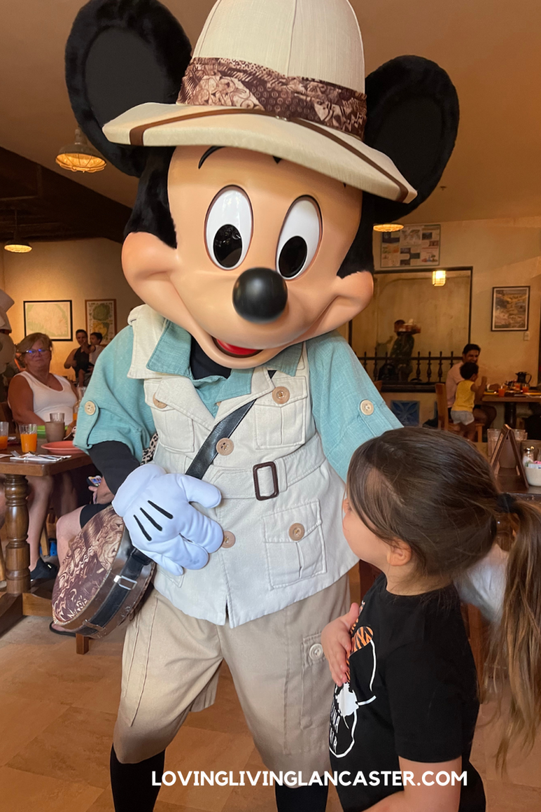 Top 5 Disney Character Dining Restaurants