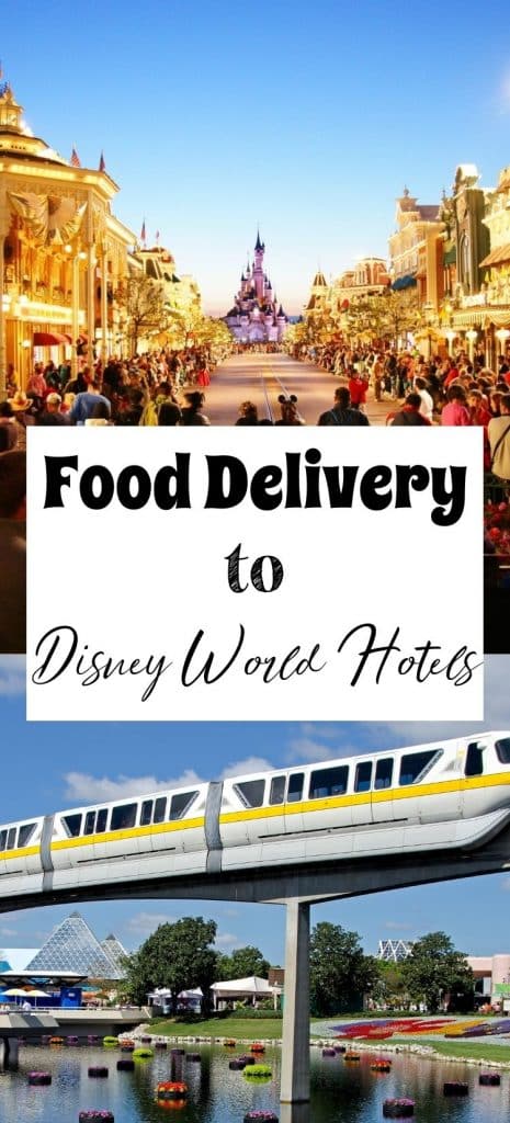 Food Delivery to Disney World Pin