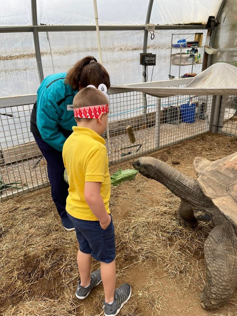 Everything You Need to Know About Zoo Knoxville (2023 Guide) 9 Big Al Zoo Knoxville birthday party meet and greet