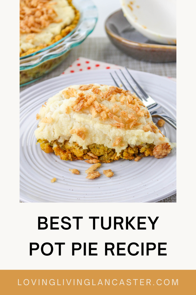 Best Turkey Pot Pie Recipe