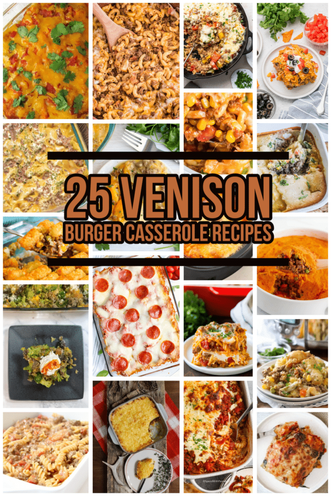 25 Venison Burger Casserole recipes