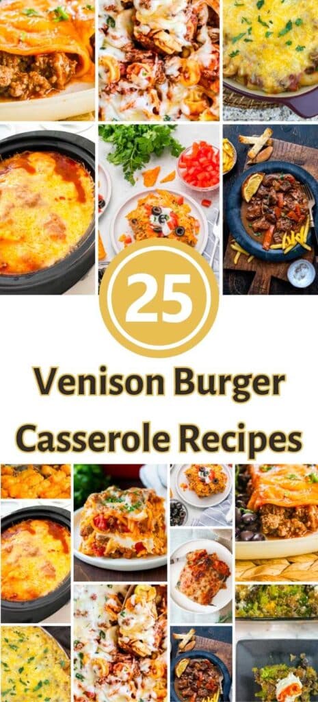 Venison Burger Casserole Pins