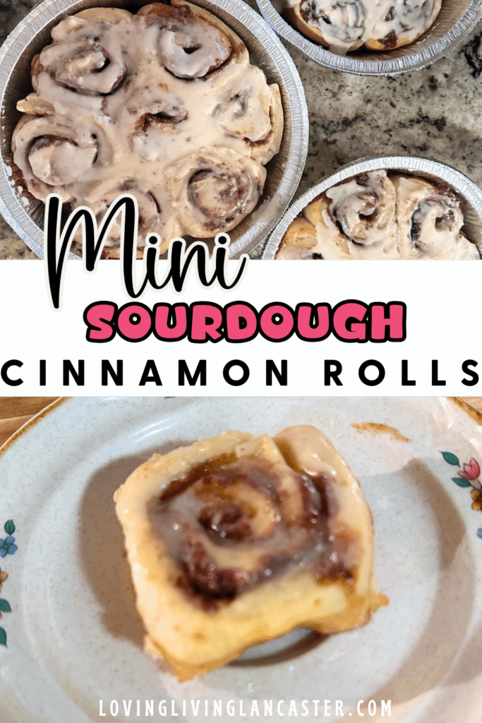 Mini Sourdough Cinnamon Rolls Pin