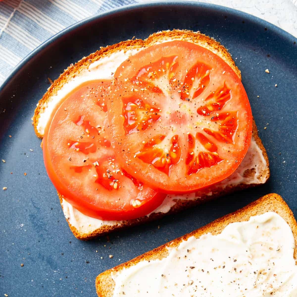 SQ Tomato Sandwich 2
