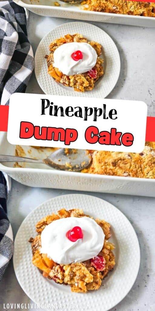 Pineapple Upside Down Dump Cake Pin