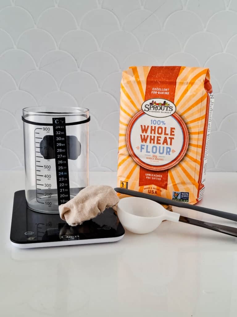 sourdough starter recipe ingredients and equipment