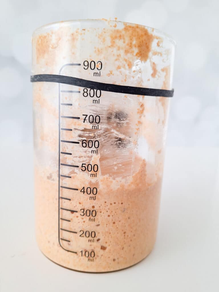 side view of sourdough starter in clear jar