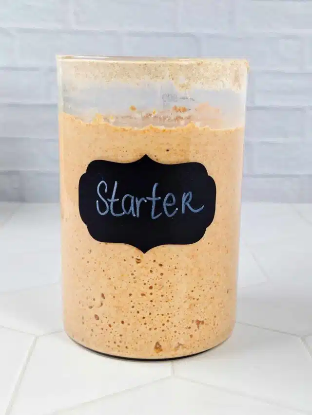 sourdough starter in clear jar