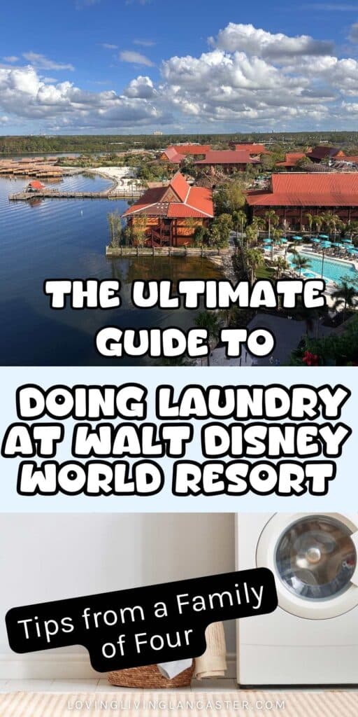 Doing Laundry at Walt Disney World Resort Pin