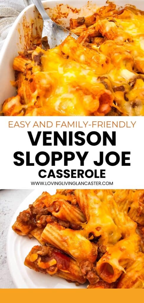 Long Pin for Venison Sloppy Joe.